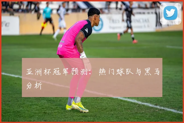 亚洲杯冠军预测：热门球队与黑马分析